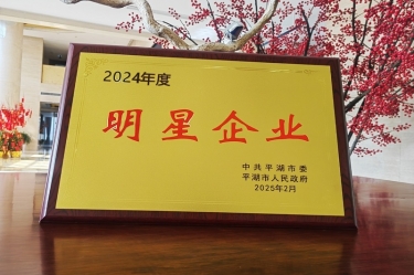 新春新景新气象 | bwin必赢亚洲官方网站纸业在平湖三干大会上喜摘荣誉！